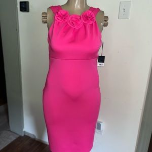 Jason Wu hot pink dress w/roses - L